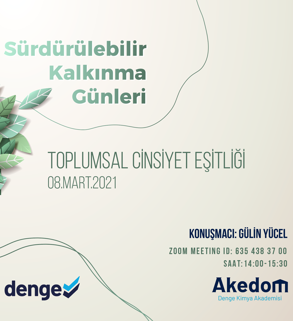 Toplumsal Cinsiyet Eşitliği Webinarımızı Gerçekleştirdik!